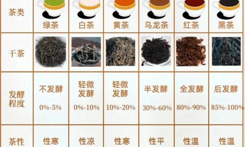 地丁治什么病-地丁作用及禁忌网 - 网站提供地丁的作用与用途小常识、地丁的功能主治